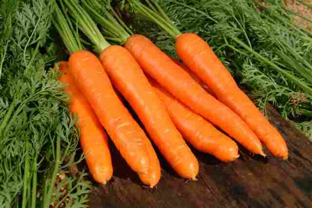 Cebola e cenoura registram queda dos preços no atacado