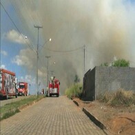 Queimada urbana é tema de concurso de vídeo promovido pelo MP em Cacoal