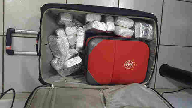 Polícia prende adolescente com 22 quilos de maconha na BR-364