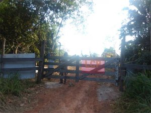 Invasores desocupam a área da fazenda Bom Futuro