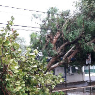 Eletrobras teve 400 ocorrências após o temporal em Porto Velho