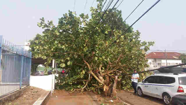 Temporal em Porto Velho registrou ventos de até 80,6 Km/h
