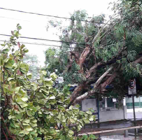 Eletrobras teve 400 ocorrências após o temporal em Porto Velho