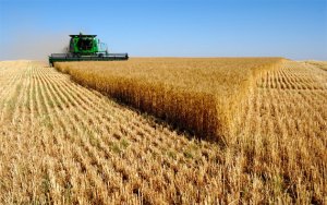 Conab divulga perspectivas para a agropecuária em 2017