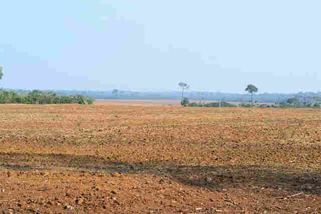 Período de vazio sanitário chega ao fim e produtores de soja já podem iniciar produção