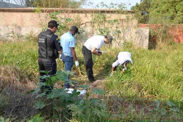 Mulher é achada degolada e com 12 facadas pelo corpo