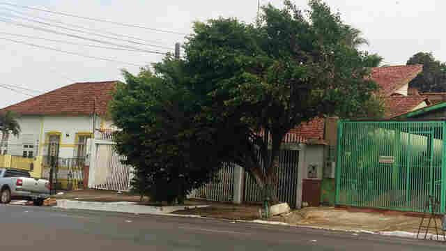 Moradora pede socorro para retirada de árvore após temporal