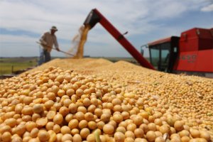 Brasil deve colher entre 210,5 e 214,8 milhões de toneladas para safra 2016/2017