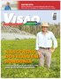 A ascensão do feijão em Rondônia