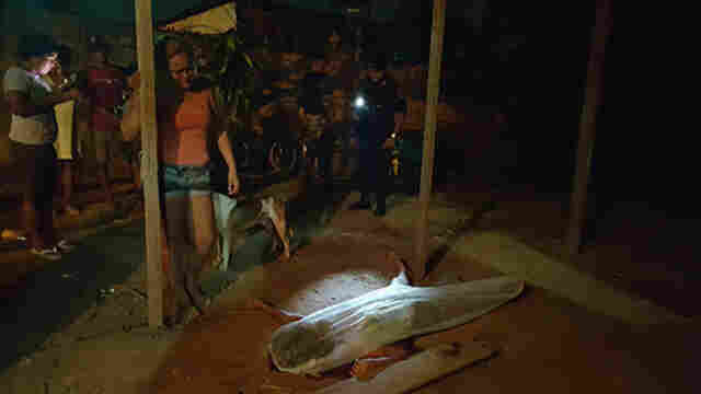 Adolescente de 13 anos é &#101;xecutada em boca de fumo na Zona Sul da capital