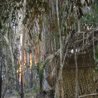 PM cumpre ordem judicial de reintegração de posse da Fazenda Santa Aline