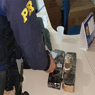 PRF detém dupla com mais de 2Kg de maconha na BR-319