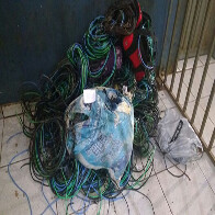 Homem é preso após furtar fiação de apartamentos do Residencial Orgulho do Madeira