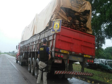 PRF detém motorista por transporte ilegal de 30m³ de madeira