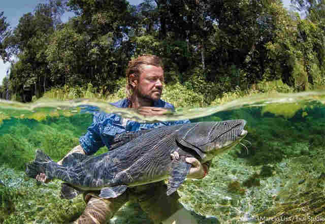Seminário de saúde preventiva  e alimentação com corrida de avestruz ocorre nesse fim de semana