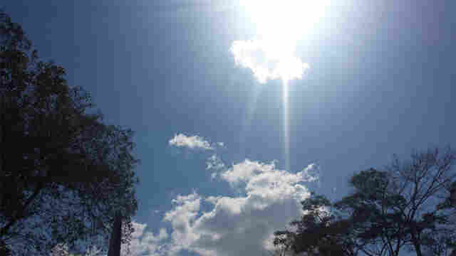 Estudo da OMM diz que 2016 deverá ser o ano mais quente da história