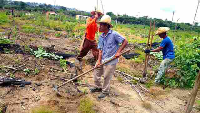Semeando Sustentabilidade: Começaram os trabalhos para recuperação de áreas