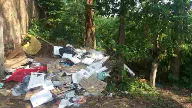 Pelo menos 17 municípios de RO em risco de surto de dengue, chikungunya e zika