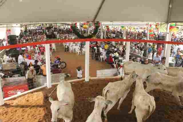 6º Leilão Direito de Viver em Ouro Preto fecha o calendário de 2016 em Rondônia