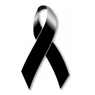 Deputada Lucia Tereza lamenta morte Phelippe Daou