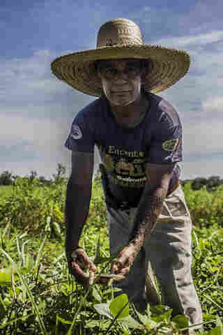 Projeto recupera áreas, doa mudas e oferece assistência técnica gratuita