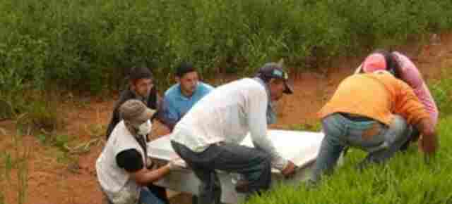 Homem desaparecido é encontrado degolado