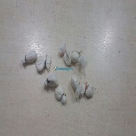 Mulher é detida com quase 10 invólucros de droga na Zona Leste