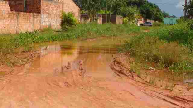 Moradores do Bairro Teixeirão reclamam do risco de dengue por falta de rede de esgoto