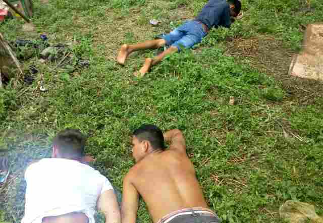 PM apreende cerca de 25 quilos de maconha enterrada em quintal de residência na Zona Leste