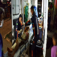 Irmãos são esfaqueados ao cobrar dívida na região rural de Porto Velho