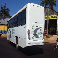 Revalidação de cartão SIM estudantil começa nesta segunda-feira no terminal de integração