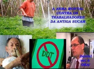 A luta do Sindsef para fazer justiça às vítimas do DDT