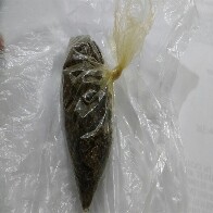 Apenados usavam “teresa” para passar droga de uma cela para outra no Urso Branco