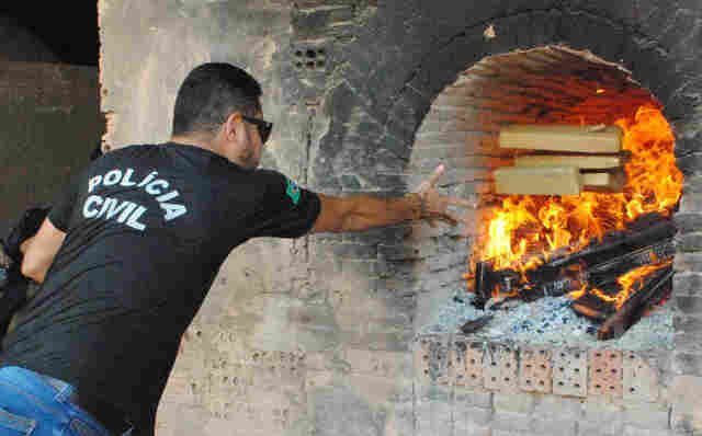 Denarc apreendeu cerca de uma tonelada e meia de entorpecentes em 2016