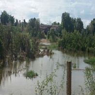 Famílias insistem em permanecer em áreas de risco