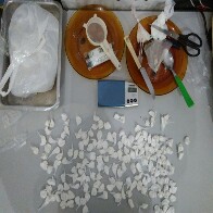 Denarc fecha boca de fumo na Zona Norte