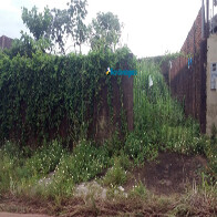 Proprietários de terrenos baldios serão notificados em Porto Velho