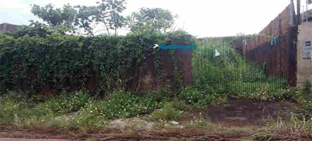 Proprietários de terrenos baldios serão notificados em Porto Velho