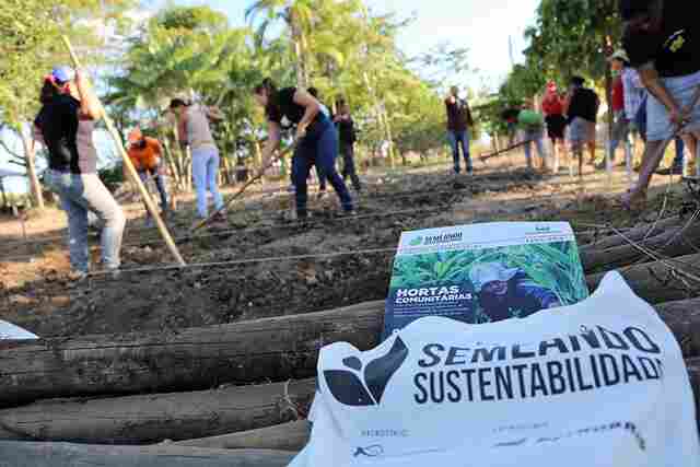 Rioterra divulga técnicas agroecológicas em Rondônia