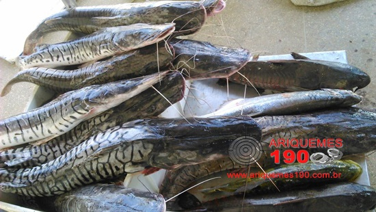Trio é detido com mais de 100 quilos de peixe no Rio Canaã