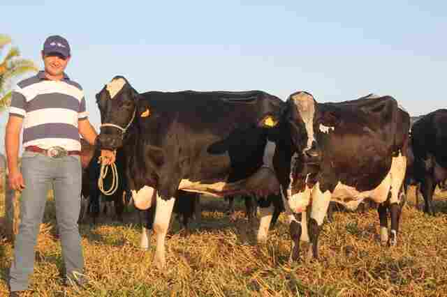 Banco do Brasil de Ouro Preto do Oeste dispõe de R$ 146 milhões para o agronegócio