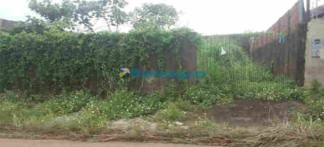 Ex-prefeitos, secretários, igrejas, empreiteiras e empresários são notificados a limparem terrenos em Porto Velho