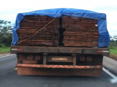 PRF apreende caminhão que transportava madeira ilegal em Ariquemes