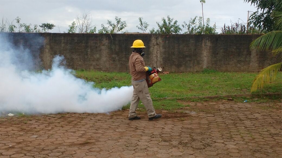 Porto Velho registra nível médio de risco de infestação de dengue em fevereiro