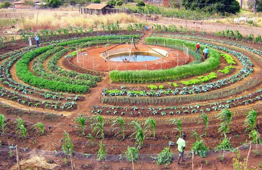 Projeto piloto do sistema integrado alternativo para produção de alimentos é uma das novidades da 6ª Rondônia Rural Show