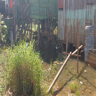 Nível do Madeira continua acima de 15 metros e Defesa Civil mantém estado de alerta, mas descarta possibilidade de enchente