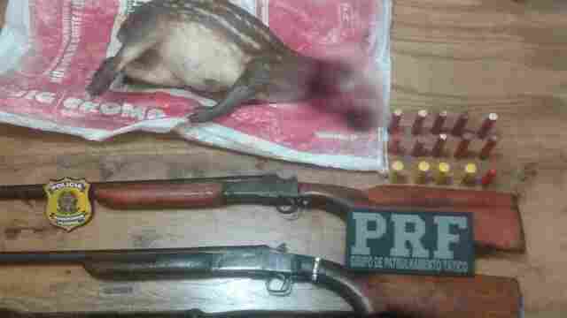 Dois são presos com armas, munições e animal silvestre morto
