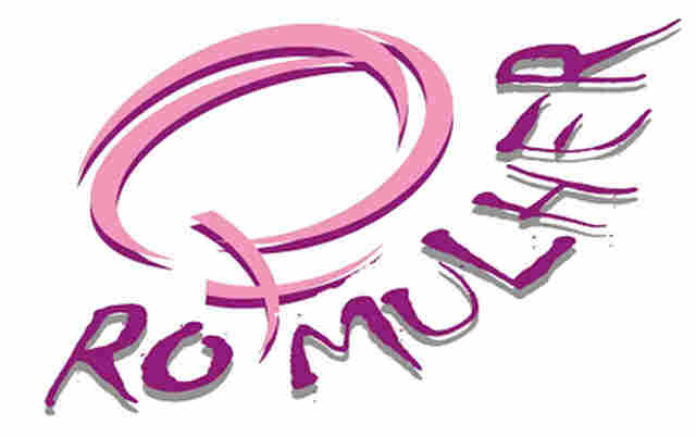 Conselho Estadual dos Diretos da Mulher lança edital de convocação de eleição de Representantes da Sociedade Civil