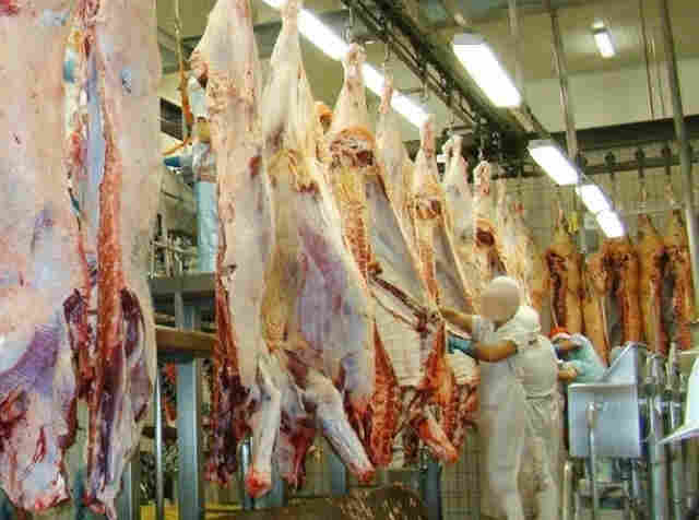 Prefeitura diz que já tinha identificado problemas e feito mudanças na Semagric