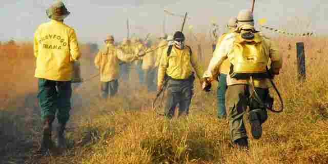 IBAMA abre processo seletivo em Rondonia; veja edital